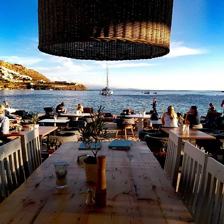 Harmony Willa Kalafati